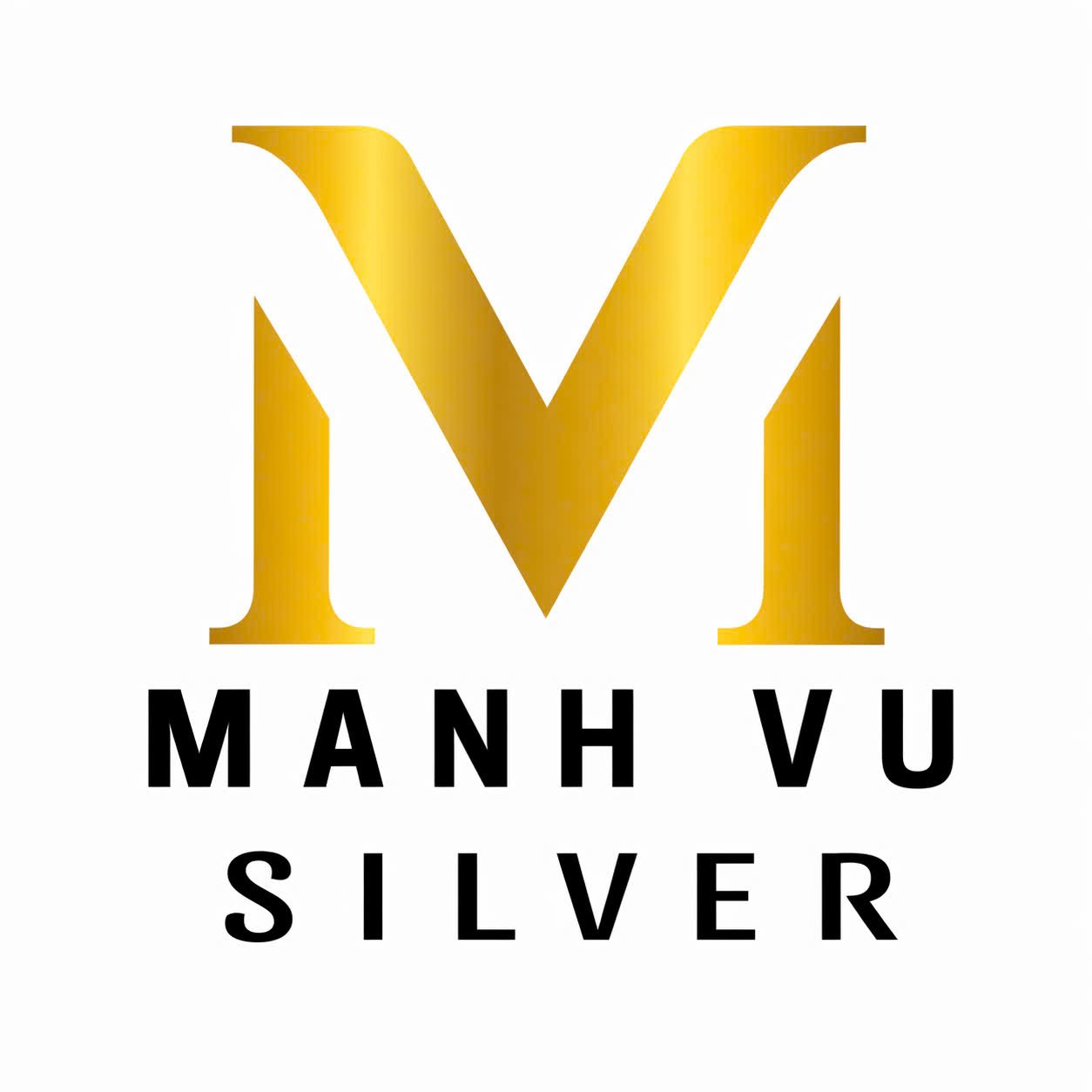 Mạnh Vũ Silver